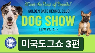 미국도그쇼 Golden Gate Dog Show 샌프란시스코 애견도그쇼 3편 #울리불리TV ( Woolly Bully TV )