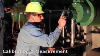 Burner Management System Industrial Gas Burner Combustion Field Service Process Heating