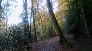 Wandern Herbst