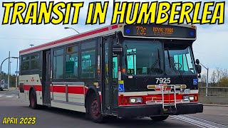 TTC Buses | Humberlea (April 2023)