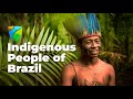 Indigenous People of Brazil - Native origins