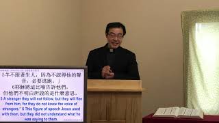 《耶穌是好牧人》（一）約翰福音 John 10:1-10 羊的門、豐盛生命