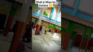 ❤️aye pilibhit Teri kismat chamak gayi hai status #shorts #viral #naat #shahji #pilibhit