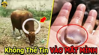 🔴Những Điều Điên Rồ Và Kinh Ngạc Nhất Được Camera Ghi Lại Bạn Sẽ Hối Tiếc Nếu Chưa Thấy Chúng