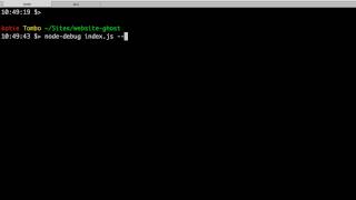 Node Inspector Launching