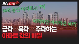 [유심LIVE] 14억→7억 곤두박질…추락하는 아파트값의 비밀