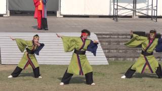 肥後荒尾さのよい踊り子隊　YOSAKOIみづま2016