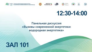 Панельная дискуссия «Вызовы современной энергетики: водородная энергетика»