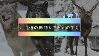 【動物たちからSDGsを考える】北海道の動物たちと人の生活