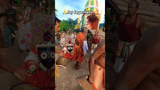 Jay Jagannath🙏jete jauchi mo bayasha gadi// to bhaba jauchi badhi//Odia bhajan song/jagannath bhajan