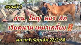 ตอนที่ 2 ตลาดวัวร้อยเอ็ดชมภูบุตร 22/2/68 วัวอ้วน ขายดี วัวงามต่อราคากันเอา เข้าสนามน้อยราคาขยับ‼️