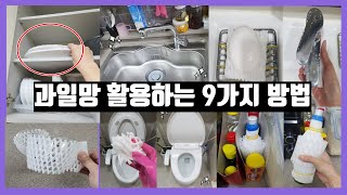 과일망 활용하는 9가지 방법