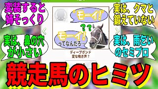 【競馬の反応集】「競走馬のヒミツを捏造してみる」に対する視聴者の反応集