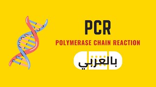 PCR (Polymerase Chain Reaction)  شرح بالعربي