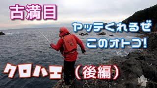 【グレ釣り】古満目の磯を遊び尽くす（後編）これだけ釣れたら満足だわｗ