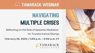 Tamarack Institute Webinar: Systemic Mediation for Transformative Change (2024)