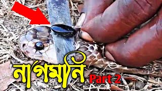 REAL ✅ OR FAKE ❌ Snake stone । snake stone or nagmoni video । ajob science