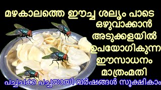 ഈച്ചകെള വീട്ടിൽ നിന്നും ഓടികാം പച്ചചക്ക പച്ചയായി വർഷംമുഴുവൻ സൂക്ഷികാം how tog get rid of house fly