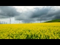 waubra wind farm 4k