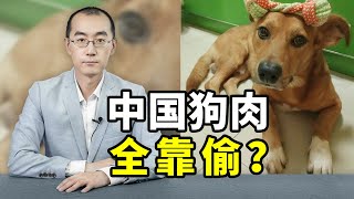 【懂点儿啥】每年吃狗1000万条，中国狗肉全靠偷？