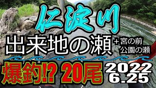 アユの友釣り 仁淀川(高知県) 出来地の瀬 2022.6.25