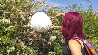 Field Techniques - Sweep Netting