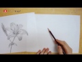 【デッサンの描き方】鉛筆一本で表現するユリの花