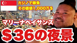 ［First time in Singapore］Fantastic！$36 night view. 最高！36$の夜景 マリーナベイサンズとカジノ！