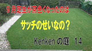 芝生を再生したい！雑草だらけで10年間メンテナンスしなかった芝生の再生物語。今回は茶色くなった芝を何とかしたいと思います。。