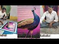 Peacock🦚 Rangoli💕 design   3 d Special  Rangoli design