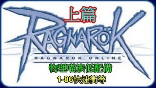 TWRO【大晴】物理喵族低配備1-86無書快速衝等-上篇