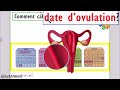 comment calculer la date d ovulation chez la femme