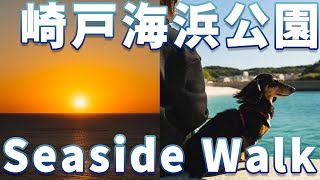 【ダックスVLOG】西海市崎戸海浜公園でSeaside Walk