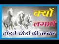 Download क्यों लगायें दौड़ते घोड़ो की तस्वीर (Effect of Running Horse Image) In Mp4 3Gp Full HD Video