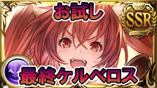 【グラブル】最終ケルベロスお試し メタトロンHL フルオート 【#汐すばる】