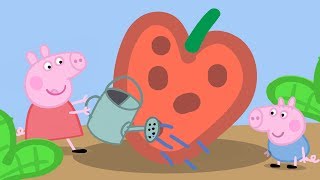 Peppa Pig Season 1 Episode 10 - Gardening - Cartoons for Children