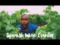 A Trip To La Rioja And The Spanish Basque Country!