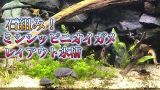 石組み！ミシシッピニオイガメレイアウト水槽。turtle tank