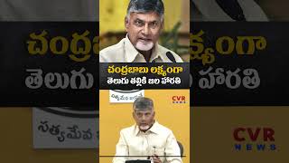 చంద్రబాబు లక్ష్యంగా తెలుగు తల్లికి జల హారతి | CM Chandrababu | Shorts | CVR News