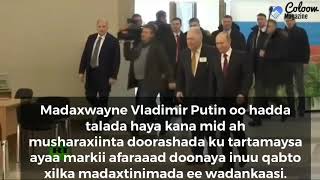 Maxaa Kataqaan Siyaasadda Vladimir Vladmirovich Putin?