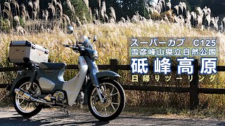 スーパーカブ C125で砥峰高原へツーリング [秋のすすき観光]