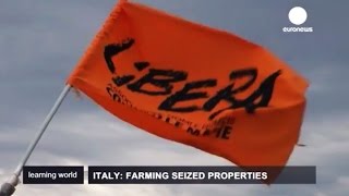 Mafia \u0026 Summer Camp?  Seizing Properties for Farming (Learning World S3E44 2/3)