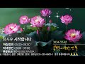 불꽃속에피는연꽃 8월 4일 저녁정진기도 스님과 함께하는 좌선명상과 경전공부 guided daily meditation