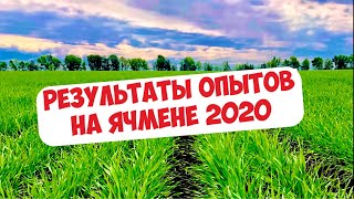 РАЗРЕЖЕННЫЙ ПОСЕВ, УМЕНЬШЕННЫЕ НОРМЫ, ЖКУ+КАС, РАЗНЫЕ СОРТА ... ЯЧМЕНЬ 2020 РЕЗУЛЬТАТЫ ...