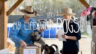 Dog Life at the Farm, Mail Opening, Beach Trip, Wildlife | VLOG | The Farm