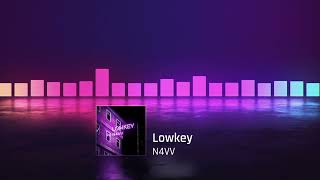 Lowkey - N4VV (Official 2024 Punjabi Visualizer)