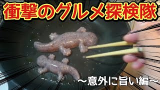 オオサンショウウオこんにゃく