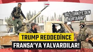 PKK/YPG, Türkiye'nin Askeri Operasyon Tehdidi Karşısında ABD ve Fransa'ya Sığındı! - TGRT Haber