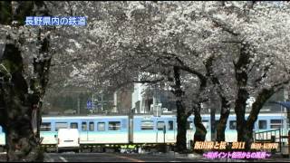 飯田線と桜　2011