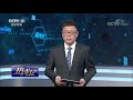 《热线12》别让微商变“危商” 20190228 cctv社会与法